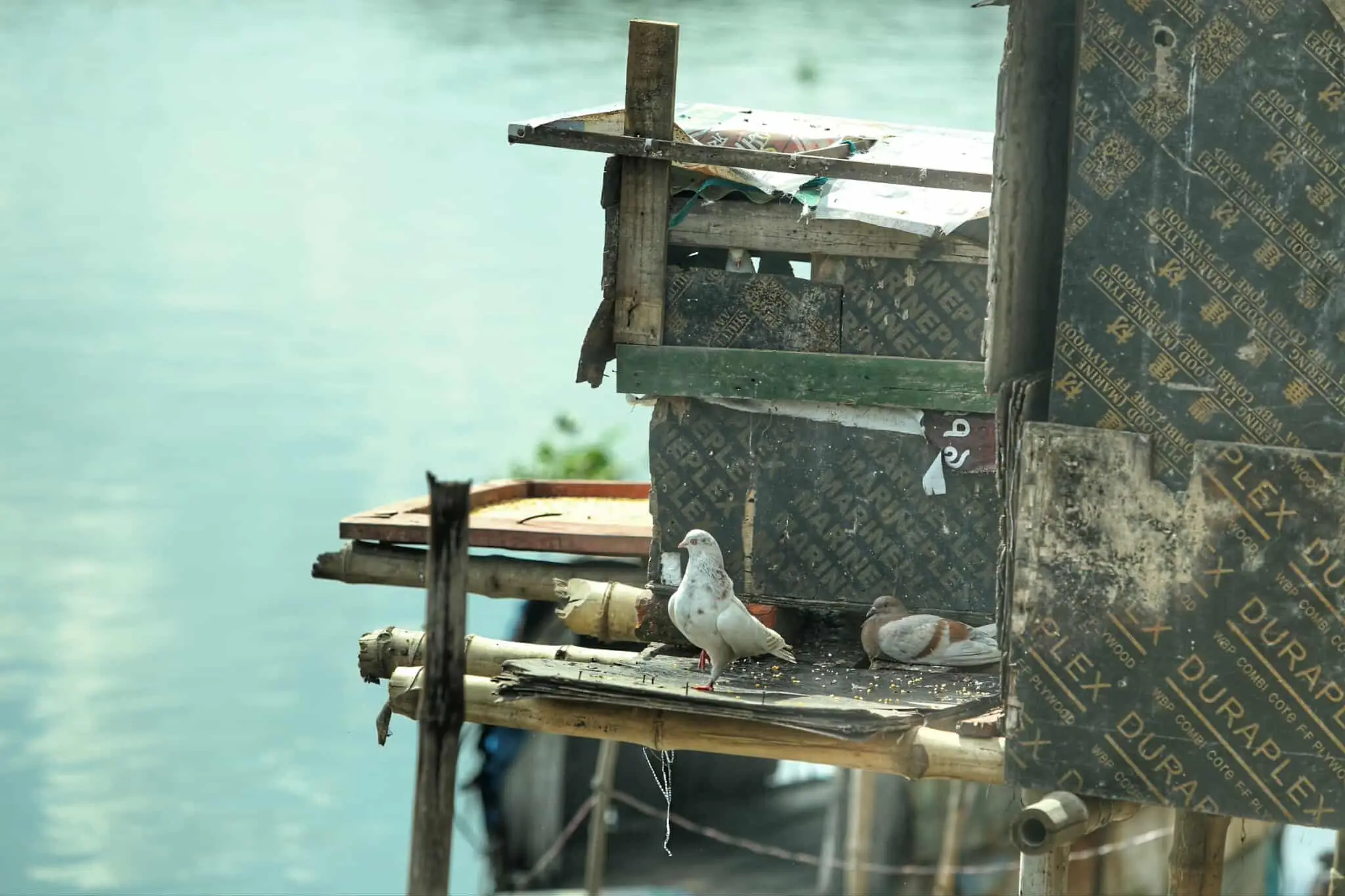 নদীর বুকেই ভাসছে জীবন