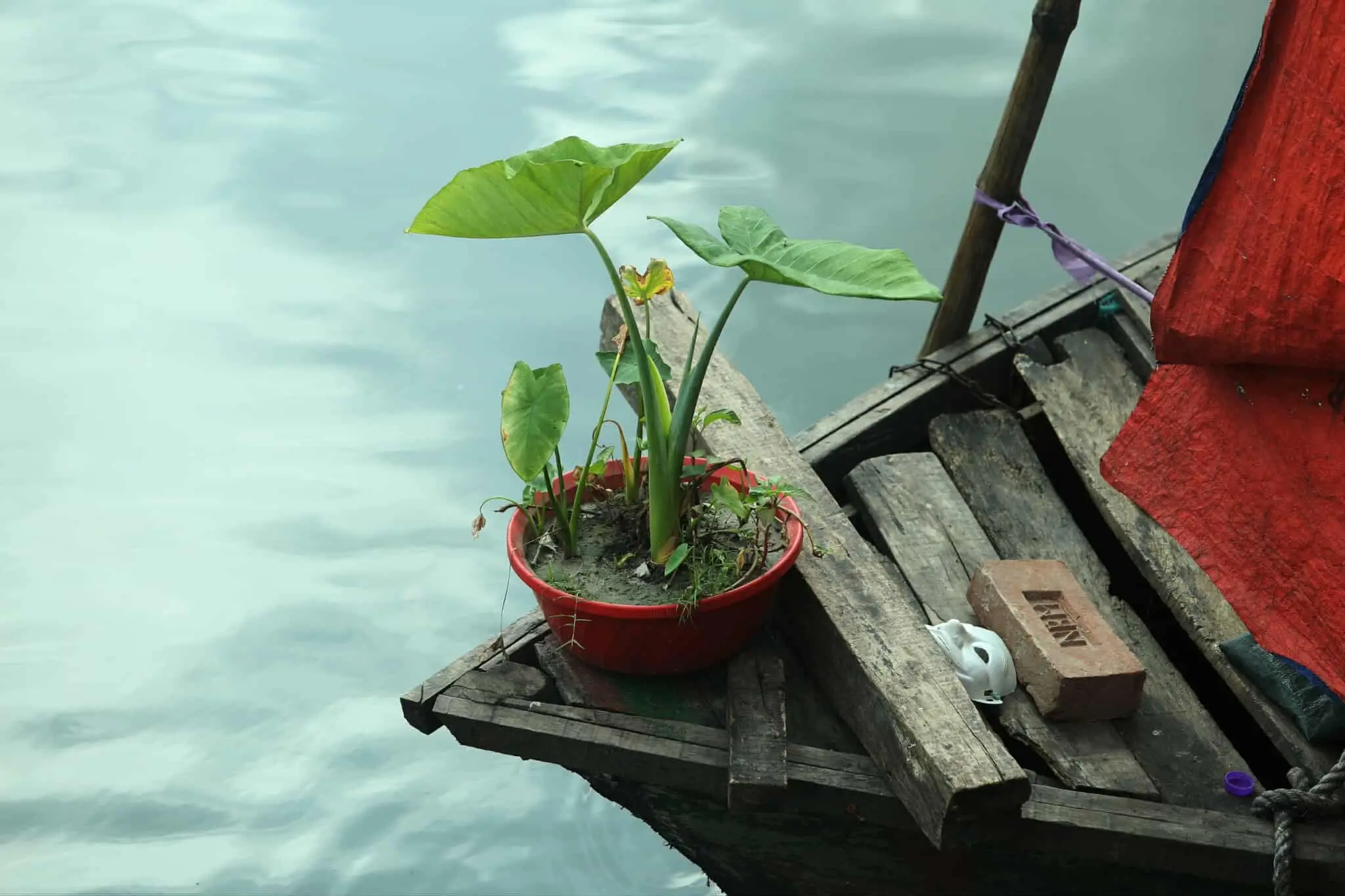 নদীর বুকেই ভাসছে জীবন