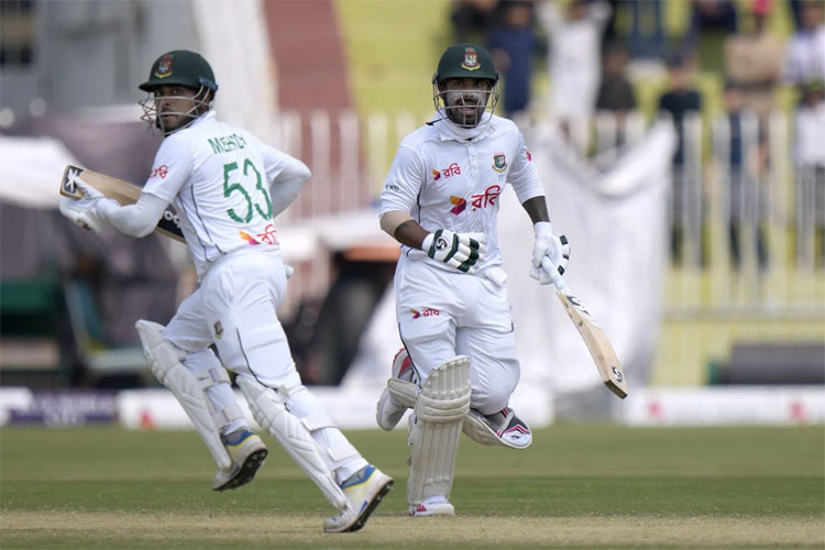 cricket