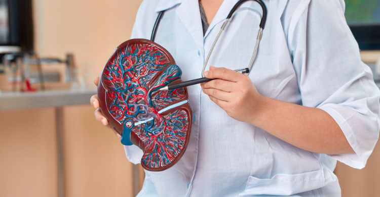 ফ্যাটি লিভার সম্পর্কে যা জানা জরুরি