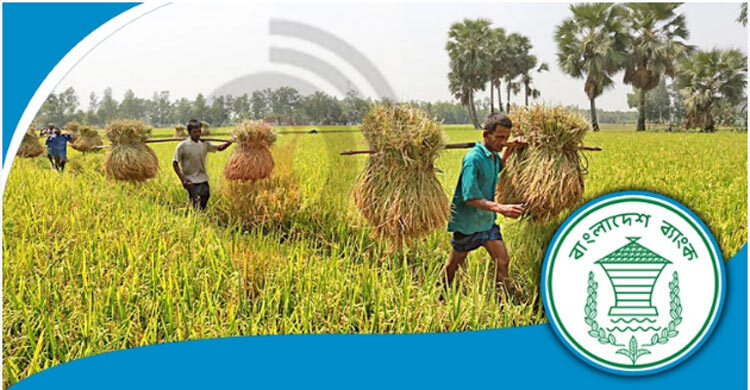৩৮ হাজার কোটি টাকার কৃষি ও পল্লি ঋণের লক্ষ্যমাত্রা নির্ধারণ
