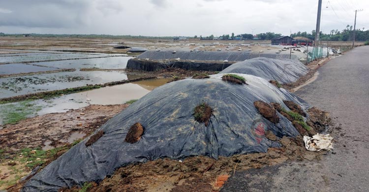 হতাশায় শেষ হলো এবারের লবণ মৌসুম