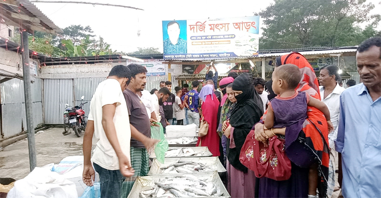 মাদারীপুরে ইলিশের মেলা