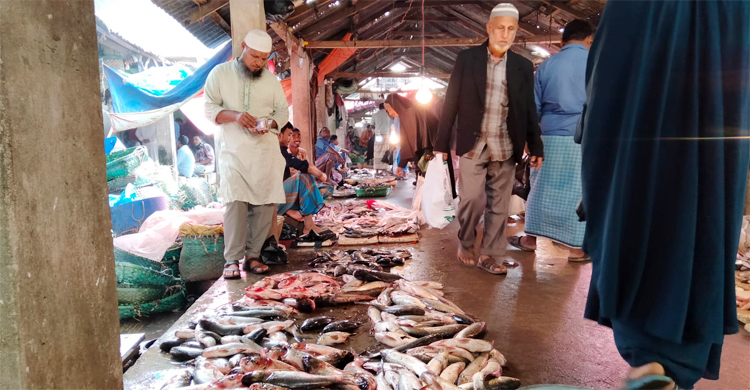 এবার বাড়লো মাছের দাম
