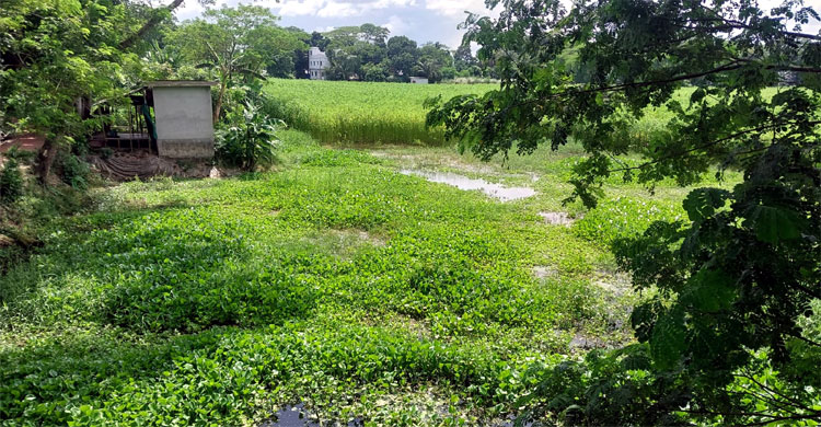 পলি জমে ভরাট রাস্তি খাল, ভোগান্তিতে হাজারো কৃষক