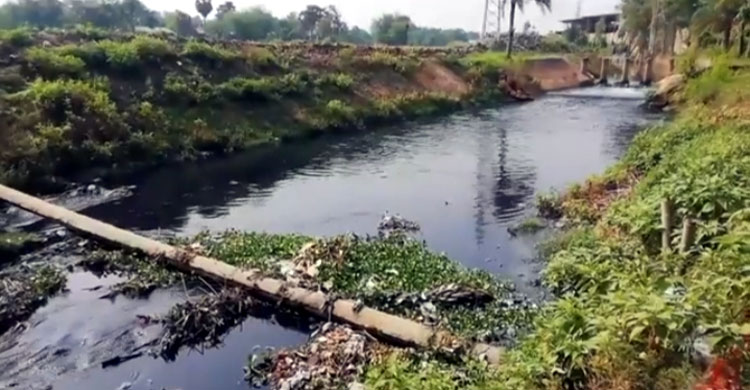 দুই দশকে প্রাণহীন খিরু