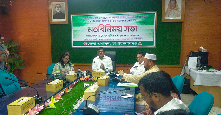 চাঁপাইনবাবগঞ্জে গাছে পাকলেই বাজারজাত করা যাবে আম