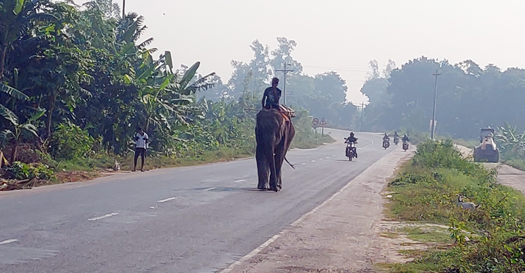 ঢাকা-আরিচা মহাসড়কে যেন অঘোষিত হরতাল