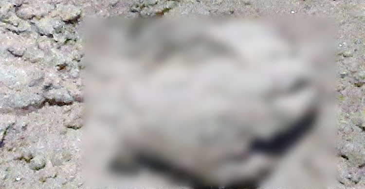 দুর্গন্ধের উৎস খুঁজতে গিয়ে নির্মাণাধীন ভবনে মিললো নারীর মরদেহ