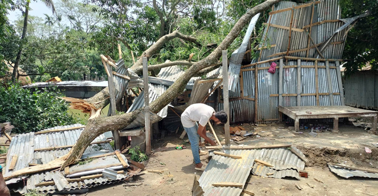 মদনে কালবৈশাখী ঝড়ে লন্ডভন্ড দুই শতাধিক ঘরবাড়ি