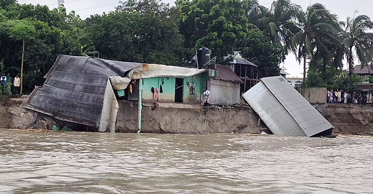 পদ্মা সেতু প্রকল্প রক্ষা বাঁধে ভাঙন, নদীর পেটে ১০ বসতবাড়ি