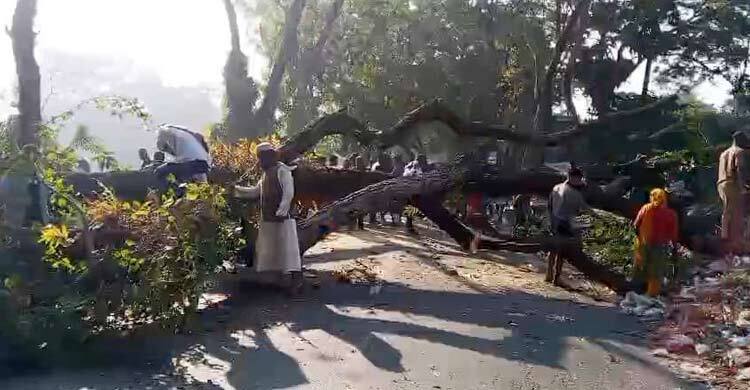 সাড়ে ৩ ঘণ্টা পর ঢাকা-বরিশাল মহাসড়কে যান চলাচল স্বাভাবিক