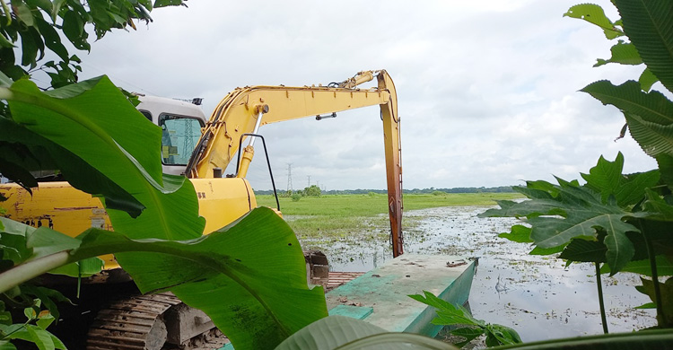 ফসলি জমিতে ইউপি চেয়ারম্যানের মাছের ঘের নির্মাণের চেষ্টা