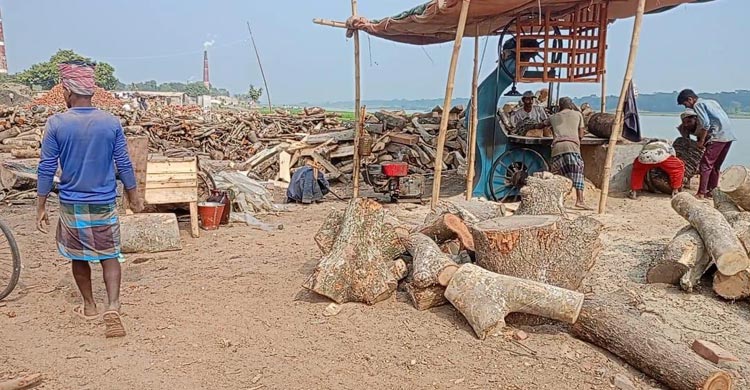 মাদারীপুরে যত্রতত্র গড়ে উঠেছে ইটভাটা, নেই ছাড়পত্র