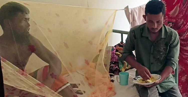 মাদারীপুরে বাড়ছে ডেঙ্গু রোগী, একদিনে ভর্তি চারজন