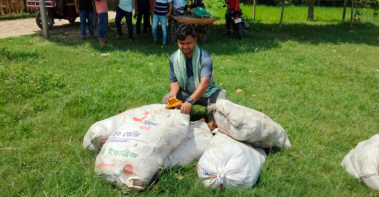তিন বছরে ২০ হাজার তালের আঁটি রোপণ করলেন মিলন
