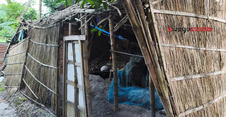 ঘরের অভাবে দিশাহারা প্রতিবন্ধী দম্পতির উদ্বাস্তু জীবন