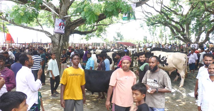 মাদারীপুরে জমে উঠেছে বেচাকেনা