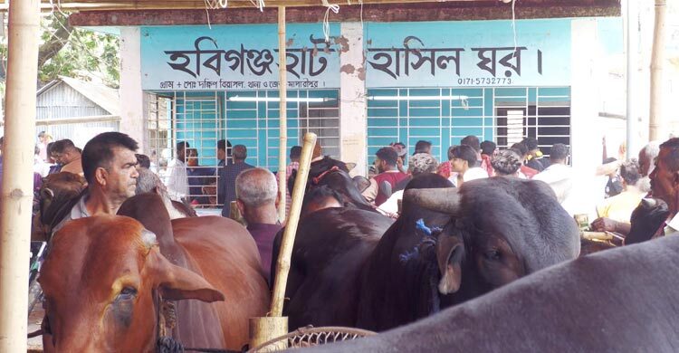 মাদারীপুরে জমে উঠেছে বেচাকেনা
