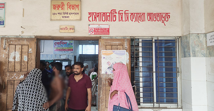 চাচা-ভাতিজার সংঘর্ষে ইটের আঘাতে বৃদ্ধের মৃত্যু