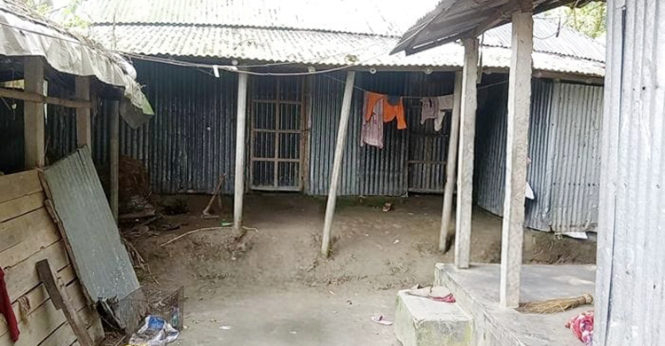 গাভীর দুধ বিক্রি করে সংসার চলছে মাগুরার সেই আছিয়ার পরিবারের