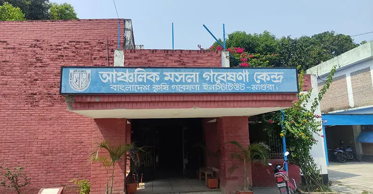 নোটিশেই পার ১১ বছর, অধিগ্রহণের জালে আটকা ৩৬ ভূমিমালিক