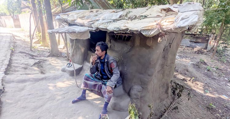 বাড়ি তো নয় পাখির বাসা ভেন্না পাতার ছানি