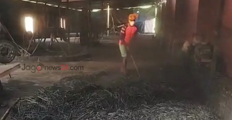 মাগুরার ছাই যাচ্ছে চীনে