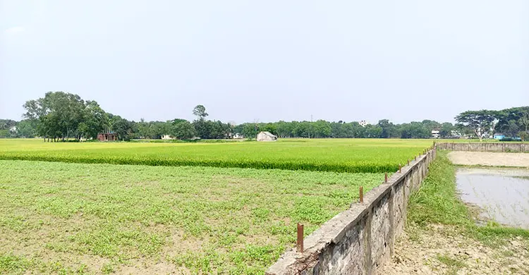 নোটিশেই পার ১১ বছর, অধিগ্রহণের জালে আটকা ৩৬ ভূমিমালিক