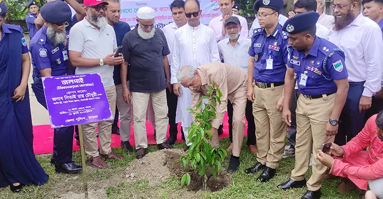 বিগত ফ্যাসিবাদ সরকারের আমলে বাংলাদেশ অন্ধকারে ছিল: সংস্কৃতি মন্ত্রী