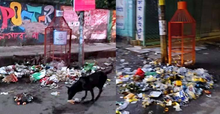 রাত বাড়লেই ভাগাড়ে রূপ নেয় মাগুরা শহর