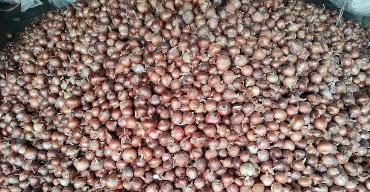 মাগুরায় সপ্তাহের ব্যবধানে দ্বিগুণ পেঁয়াজের দাম