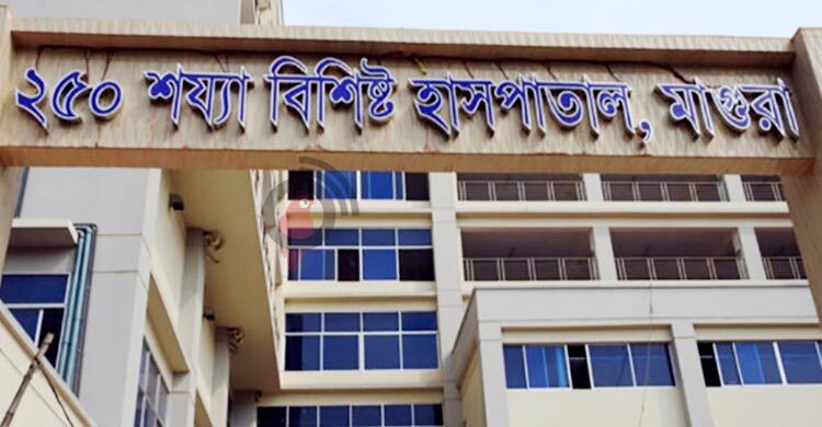 মাগুরায় মোটরসাইকেল নিয়ন্ত্রণ হারিয়ে দুুই কলেজছাত্র নিহত