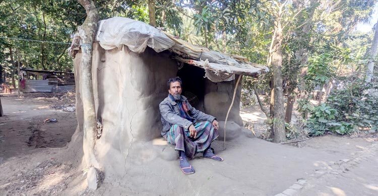 বাড়ি তো নয় পাখির বাসা ভেন্না পাতার ছানি