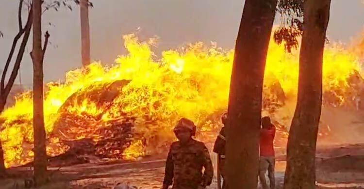 মাগুরায় আগুনে পুড়লো ছাই কারখানা