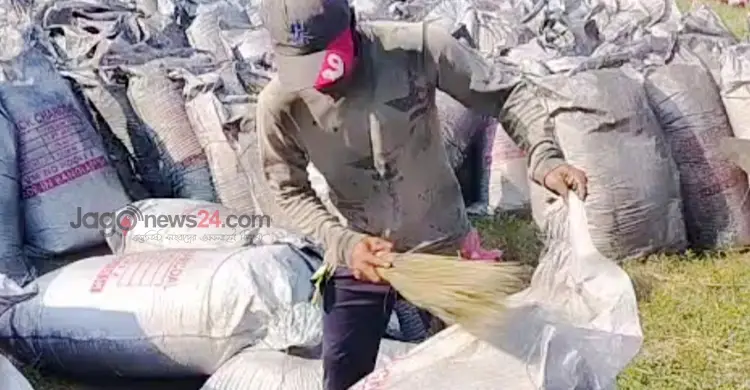 মাগুরার ছাই যাচ্ছে চীনে