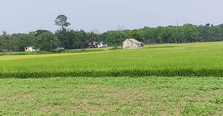 নোটিশেই পার ১১ বছর, অধিগ্রহণের জালে আটকা ৩৬ ভূমিমালিক