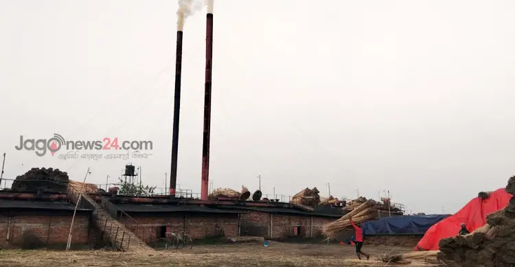 মাগুরার ছাই যাচ্ছে চীনে