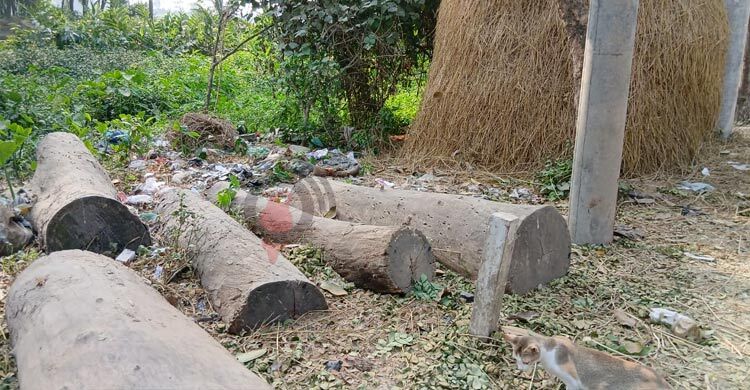 অবলুপ্তির ৪৭ বছর পর মহালক্ষ্মী ব্যাংকের সম্পদ নিলামে