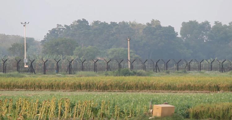মেহেরপুর সীমান্ত থেকে বাংলাদেশিকে ধরে নিয়ে গেছে বিএসএফ
