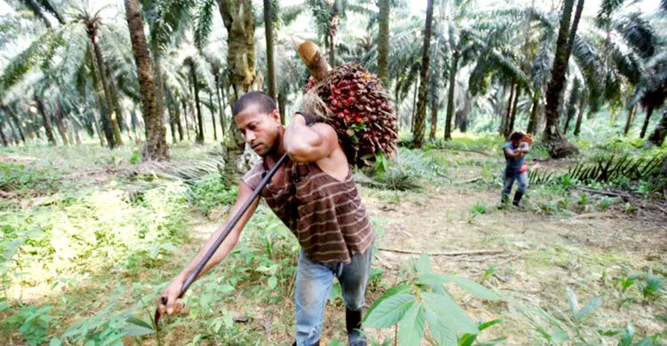 মালয়েশিয়া প্রবাসীদের জীবনযুদ্ধ: স্বপ্নভঙ্গের নেপথ্যে দালাল চক্র