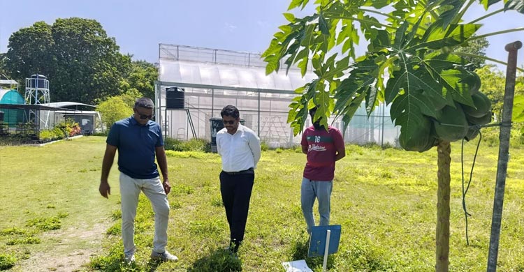 মালদ্বীপে কৃষি খামার পরিদর্শনে হাইকমিশনার