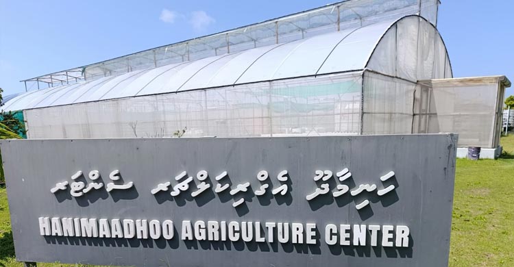 মালদ্বীপে কৃষি খামার পরিদর্শনে হাইকমিশনার