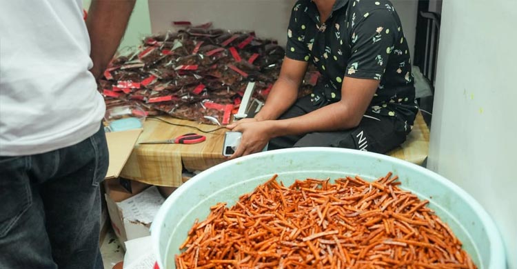 মালদ্বীপে বিশেষ অভিযানে ১৮ বিদেশি আটক