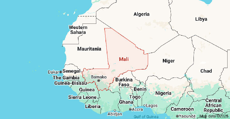 Mali gold mine accident kills 48