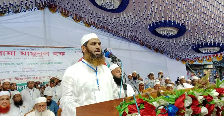 গণভোট অবৈধ হলে বর্তমান সরকারও অবৈধ: মামুনুল হক