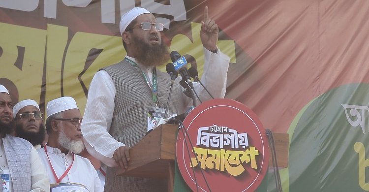 সোনার বাংলাদেশ দেখা শেষ, এবার ইসলামের বাংলাদেশ চাই: মামুনুল হক