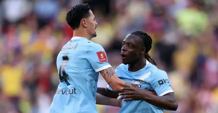 সাউদাম্পটনকে হারিয়ে ফাইনালে ম্যানচেস্টার সিটি