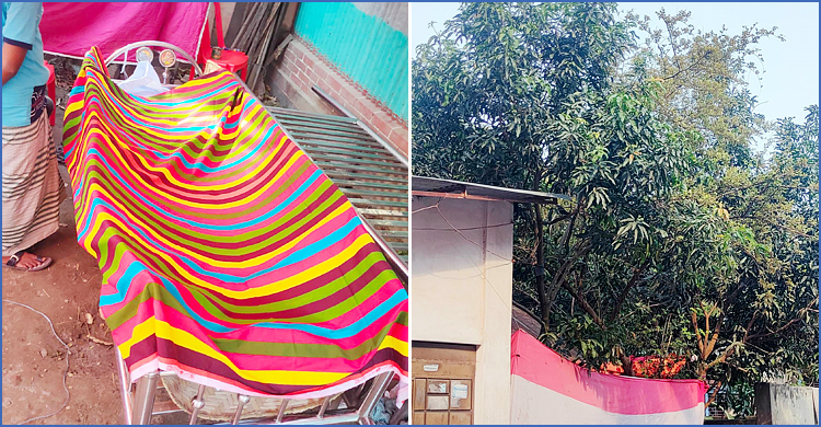 আম পাড়তে উঠে গাছ থেকে পড়ে প্রাণ গেলো যুবকের