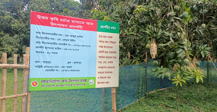 রপ্তানিযোগ্য আম উৎপাদন প্রকল্পে স্বপ্ন দেখছে চাষি